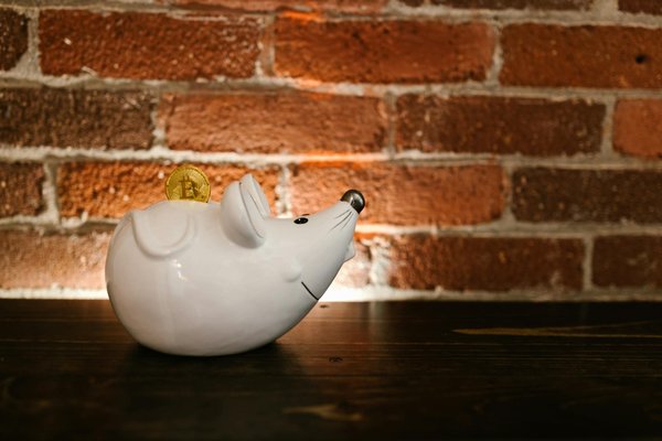 Réaliser un projet immobilier dans le neuf : guide simplifié